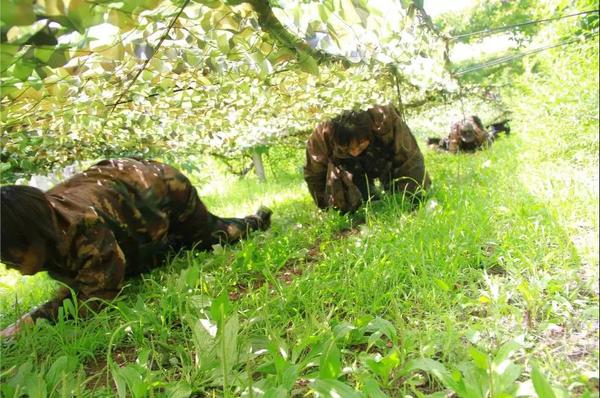 乾港集團,乾港官網(wǎng),乾港網(wǎng)絡,室內(nèi)空氣凈化公司 乾港集團,乾港官網(wǎng),乾港網(wǎng)絡,室內(nèi)空氣凈化公司